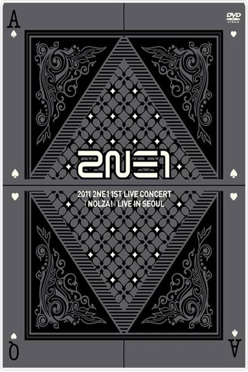2NE1: 1st Live Concert NOLZA poster