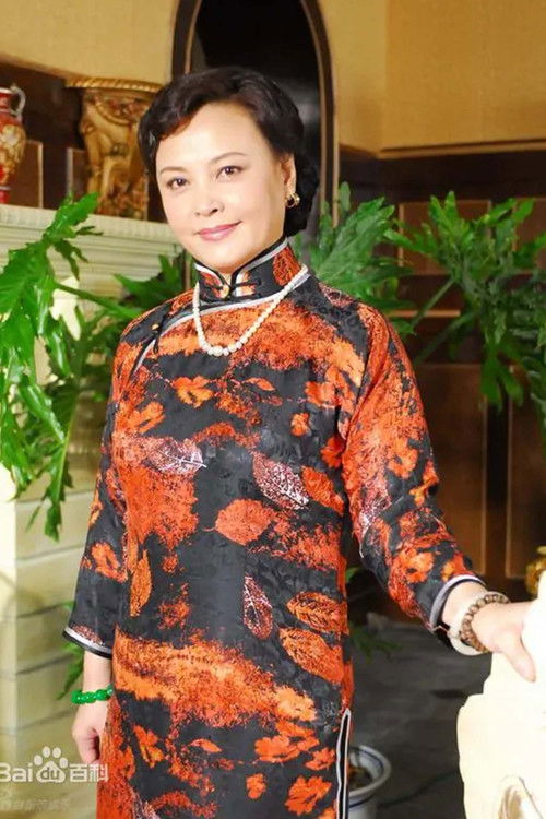 薛淑杰 as 赵友兰