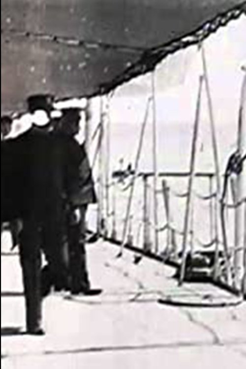 Admiral Dewey Receiving the Washington and New York Committees poster