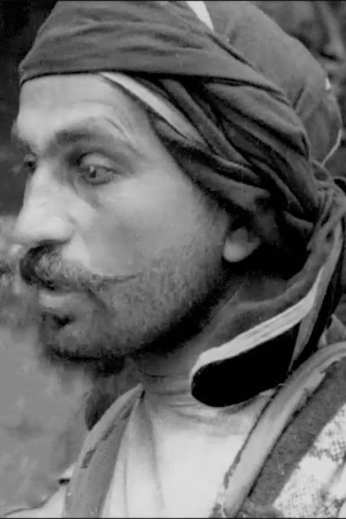 Vladimer Trapaidze as Siko