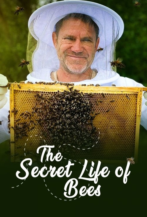 The Secret Life of Bees