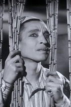 Mounir ElFangary as القهوجي