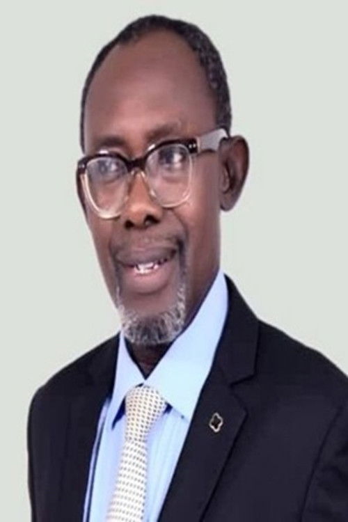 Chris Akwarandu as Professor Mujeed