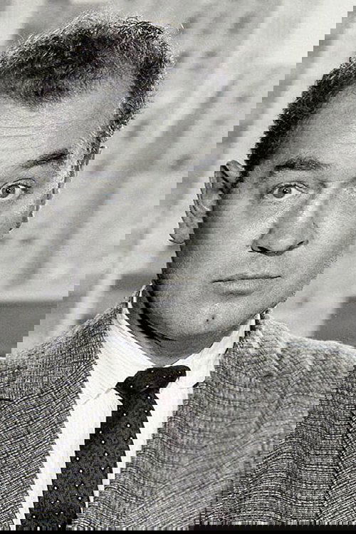 Arch Johnson as Combs