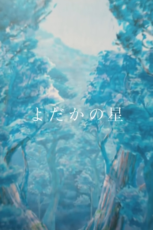 The Nighthawk Star poster