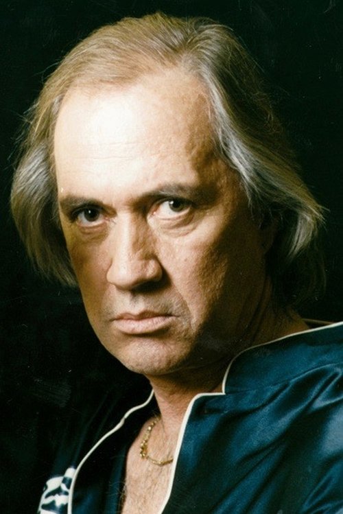 David Carradine as Mike Sullivan