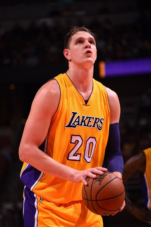 Timofey Mozgov as Himself