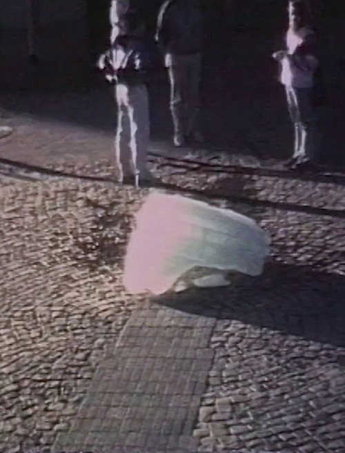 Summer-Winter-Summer