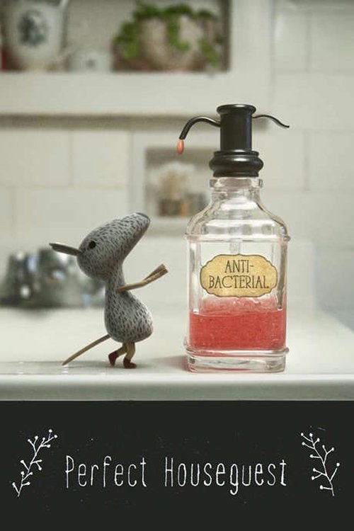 Perfect Houseguest poster