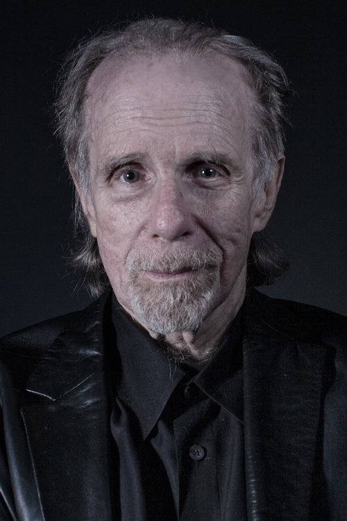 David Fine as Salowitz