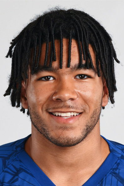 Reece James as Self