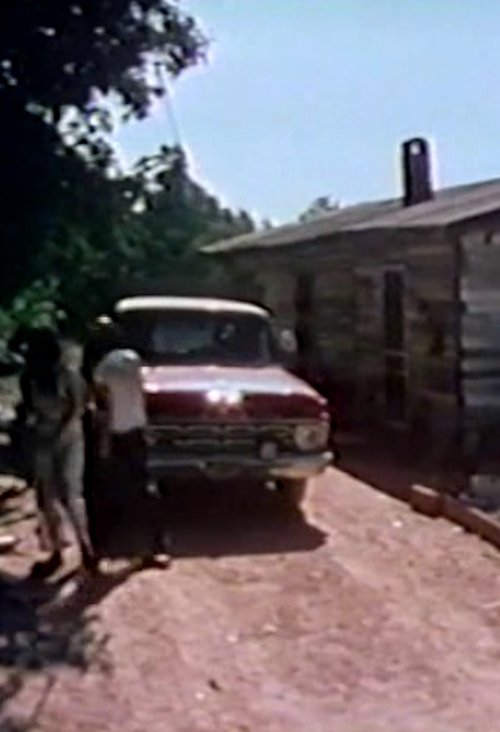 The Burks of Georgia