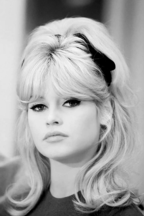 Brigitte Bardot as Brigitte Bardot (uncredited)