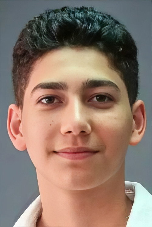 Musa Özgeç as Sahin